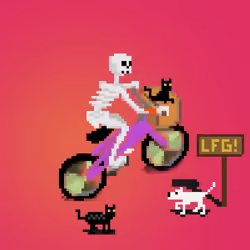 Rider #933