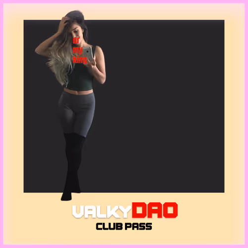Valkydao V2