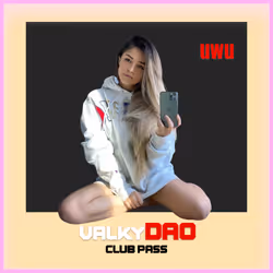 ValkyDAO #168