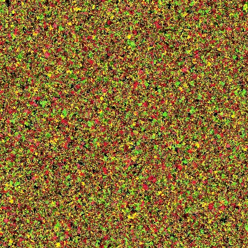 Forever Rug #1398 - Tropical Passion: Distracted