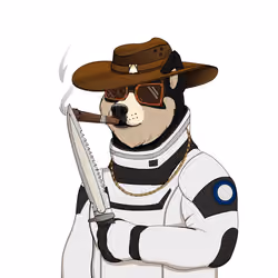 Doge #5264
