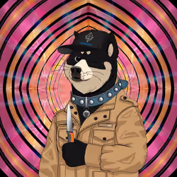 Doge #4017