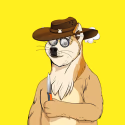 Doge #3105