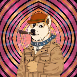 Doge #3448