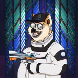 Doge #1213