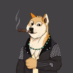Doge #3006