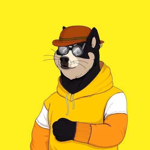 Doge Battle