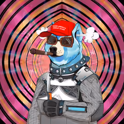 Doge #5720