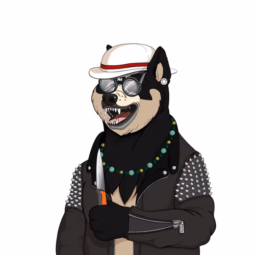 Doge #1263