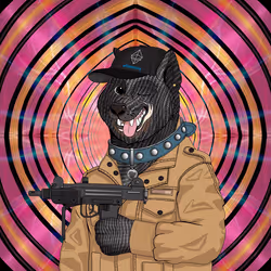 Doge #2088