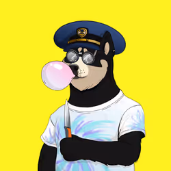 Doge #550