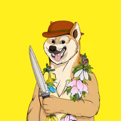Doge #655