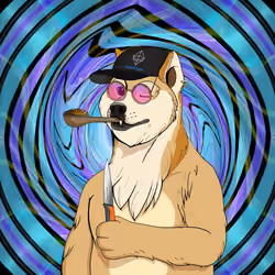 Doge #2275