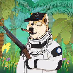 Doge #6260
