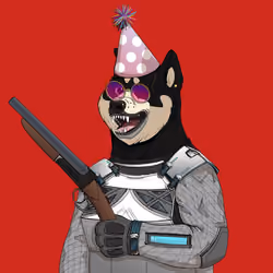 Doge #4255