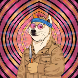 Doge #4019