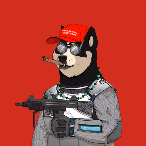 Doge #3503