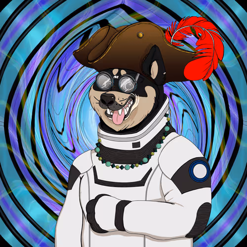 Doge Battle