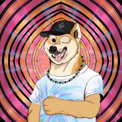 Doge #3580