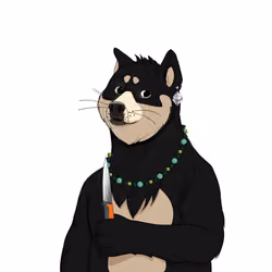 Doge #3867