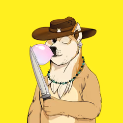 Doge #3881