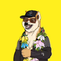 Doge #3733
