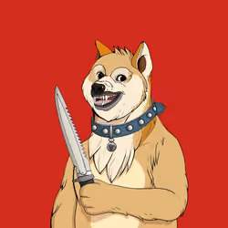 Doge #1486