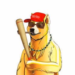 Doge #3812