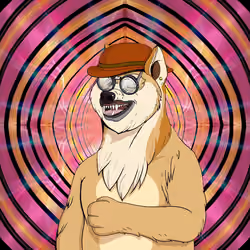 Doge #3928