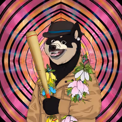 Doge #6643