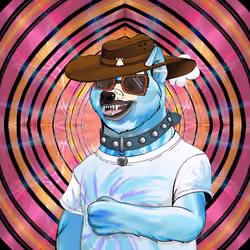 Doge #2113