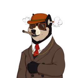 Doge #5364