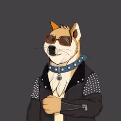 Doge #6650