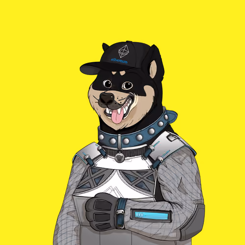 Doge #3497