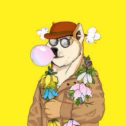 Doge #5263