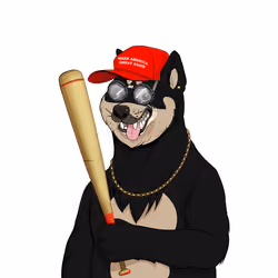 Doge #1447