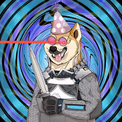 Doge #488