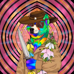 Doge #6468
