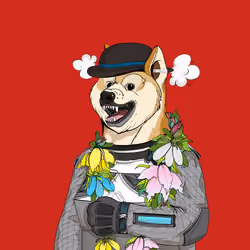 Doge #4753
