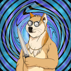 Doge #775