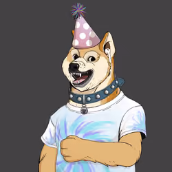 Doge #6563