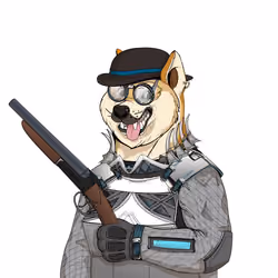 Doge #4763