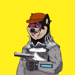 Doge #1809