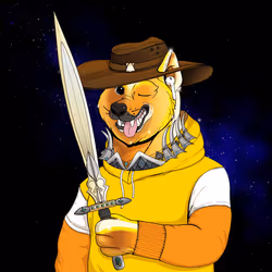 Doge #2510