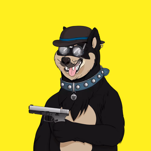 Doge #570