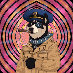 Doge #5660