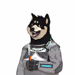 Doge #689
