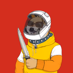 Doge #4497