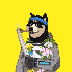 Doge #3850