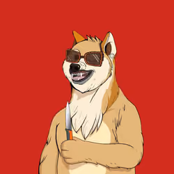 Doge #6262
